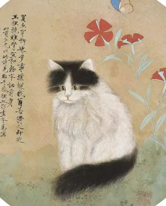 故宫十大御猫小崽儿,历史上真实的故宫御猫