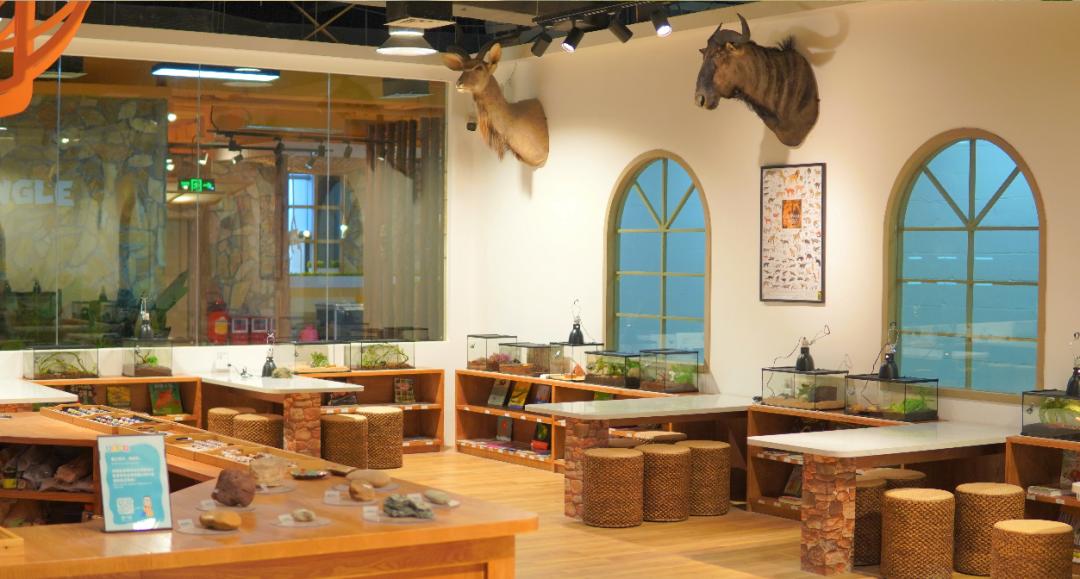 鍗佸ぇ鐑棬浜插瓙涔愬洯娣卞湷,鏂ヨ祫涓や嚎鐨勬父涔愬洯