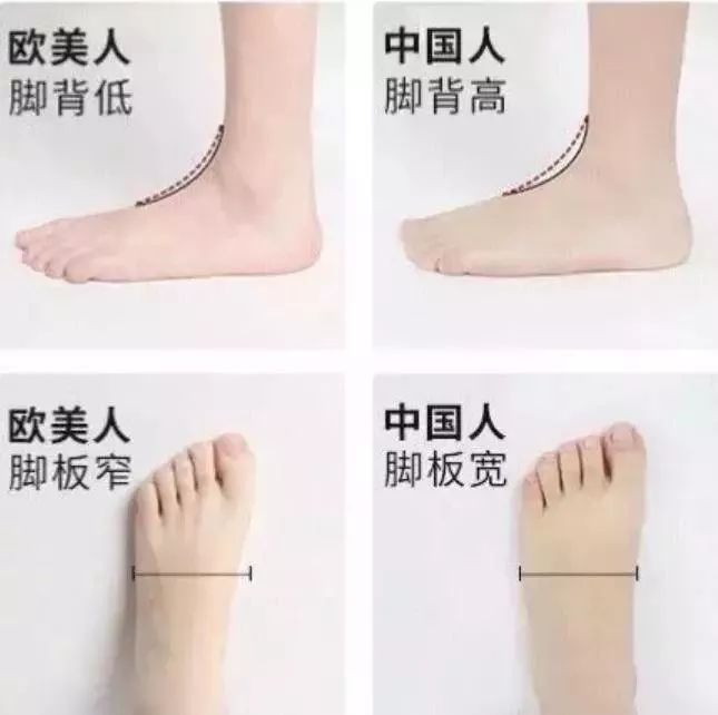 永不过时小白鞋视频,永远不过时经典款鞋