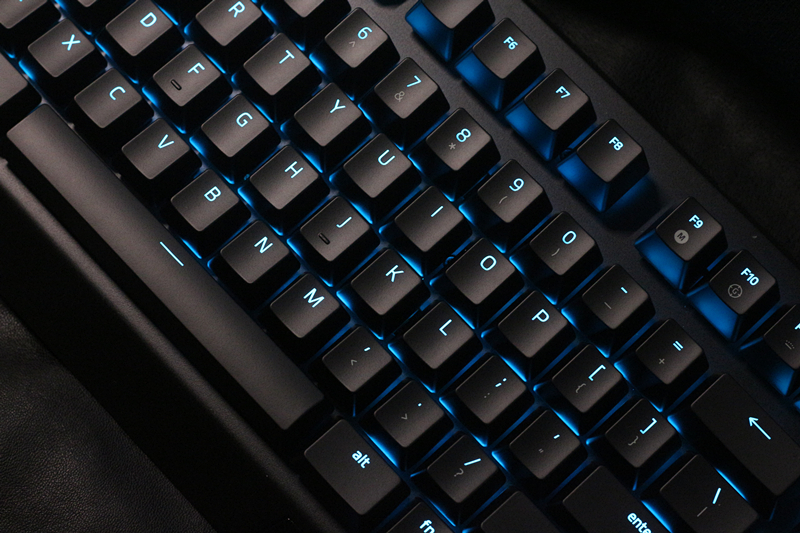 黑寡妇蜘蛛幻彩版和标准版,黑寡妇蜘蛛幻彩版灯光