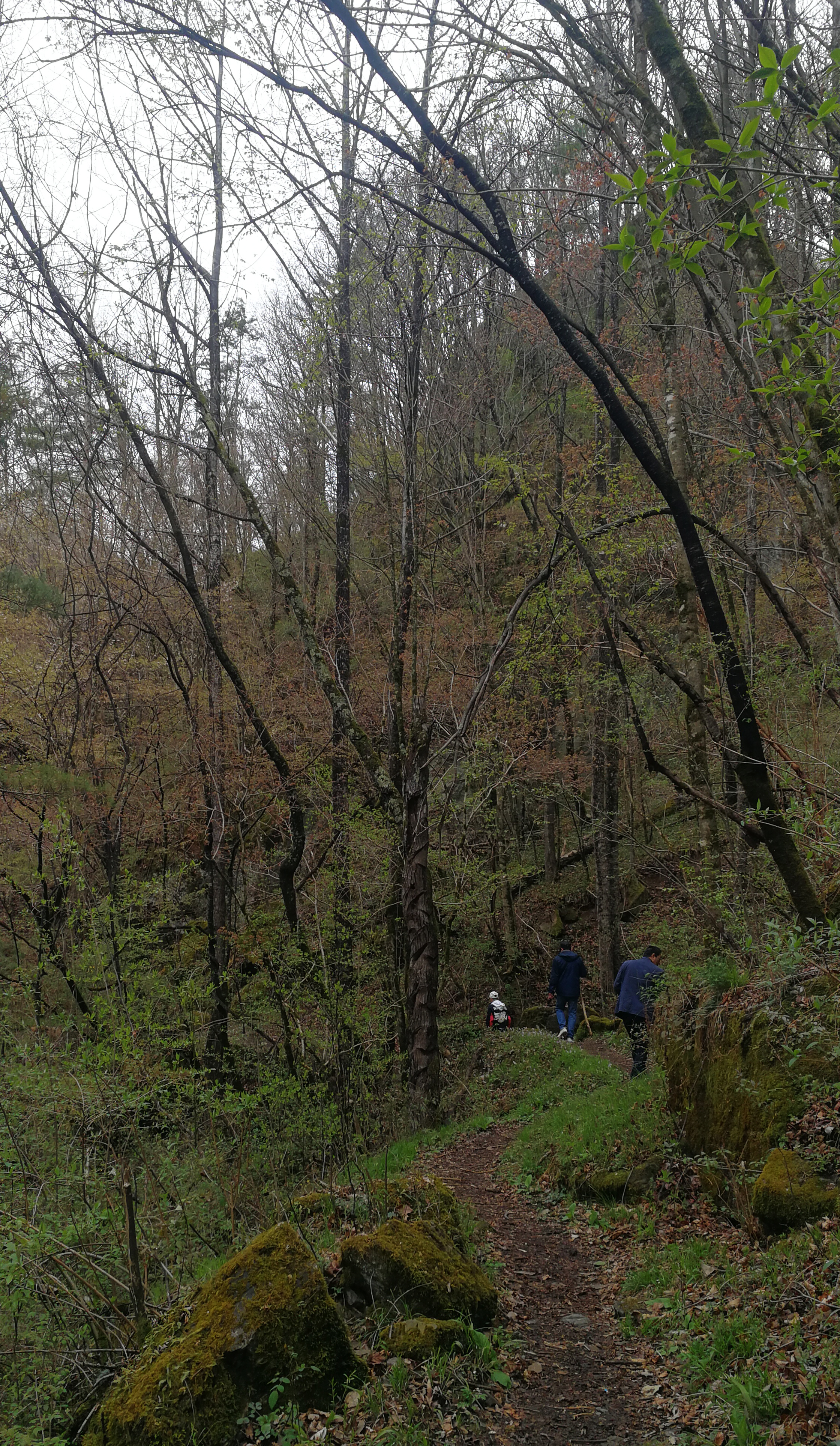 西安周至踏青赏花的路线攻略,周至老县城旅游攻略