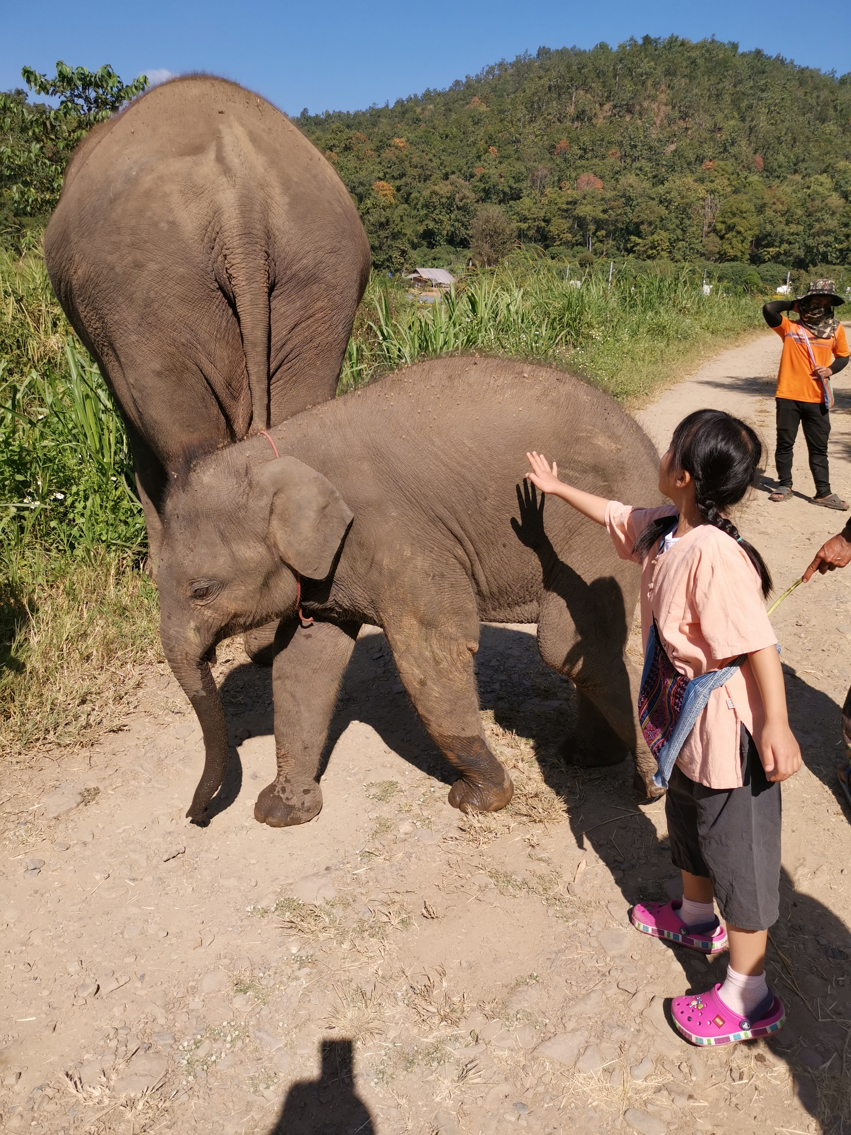 攻略暑假带娃去泰国这样玩,泰国自由行7天攻略带小孩