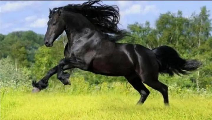 合肥学校里的网红,合肥最牛的初中学校