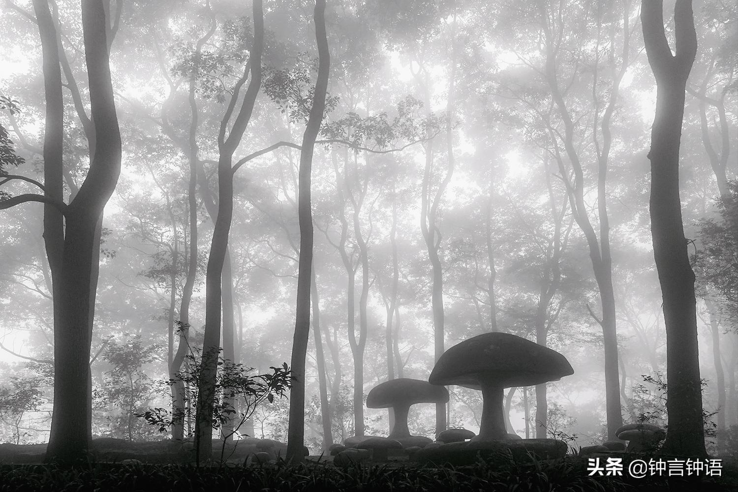 寻找消失已久的“歌乐灵音”：重庆歌乐山半日游