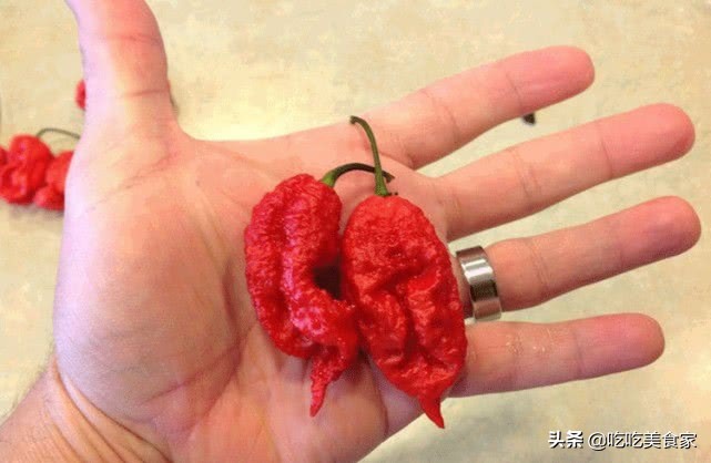 看看非洲小伙吃老干妈，虽然嘴上说不要，但表情却出卖了他