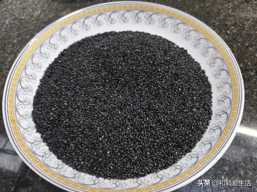 炒黑芝麻和冰糖一起炒,黑芝麻怎么做吃起来不苦