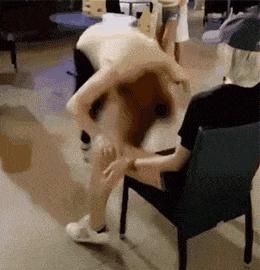 这只鹦鹉一直以为他是一只猴，所以每天都在重复做这个动作