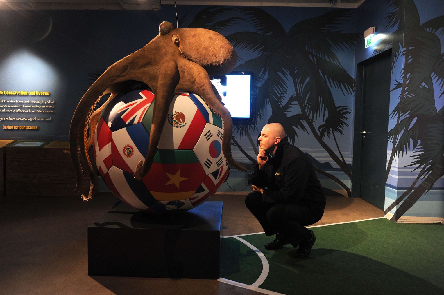 章鱼智商这么高为啥没人类厉害,章鱼有9个大脑还能自己编辑基因