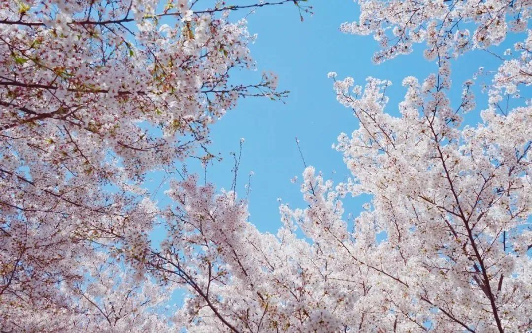 春天登山正确打开方式！这些藏在深处的秘境、美宿、茗茶在等着你！