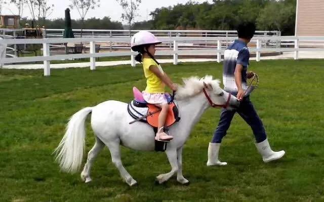 大连铭湖牧场和三寰牧场哪个好,大连铭湖牧场和三寰牧场哪个好玩
