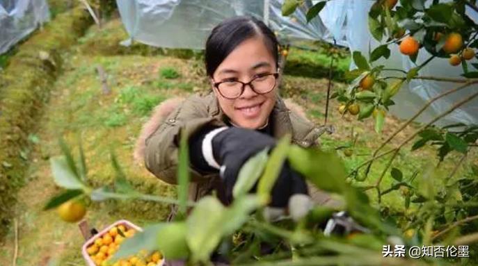 8个农村创业的好项目推荐,创业不如回家种地