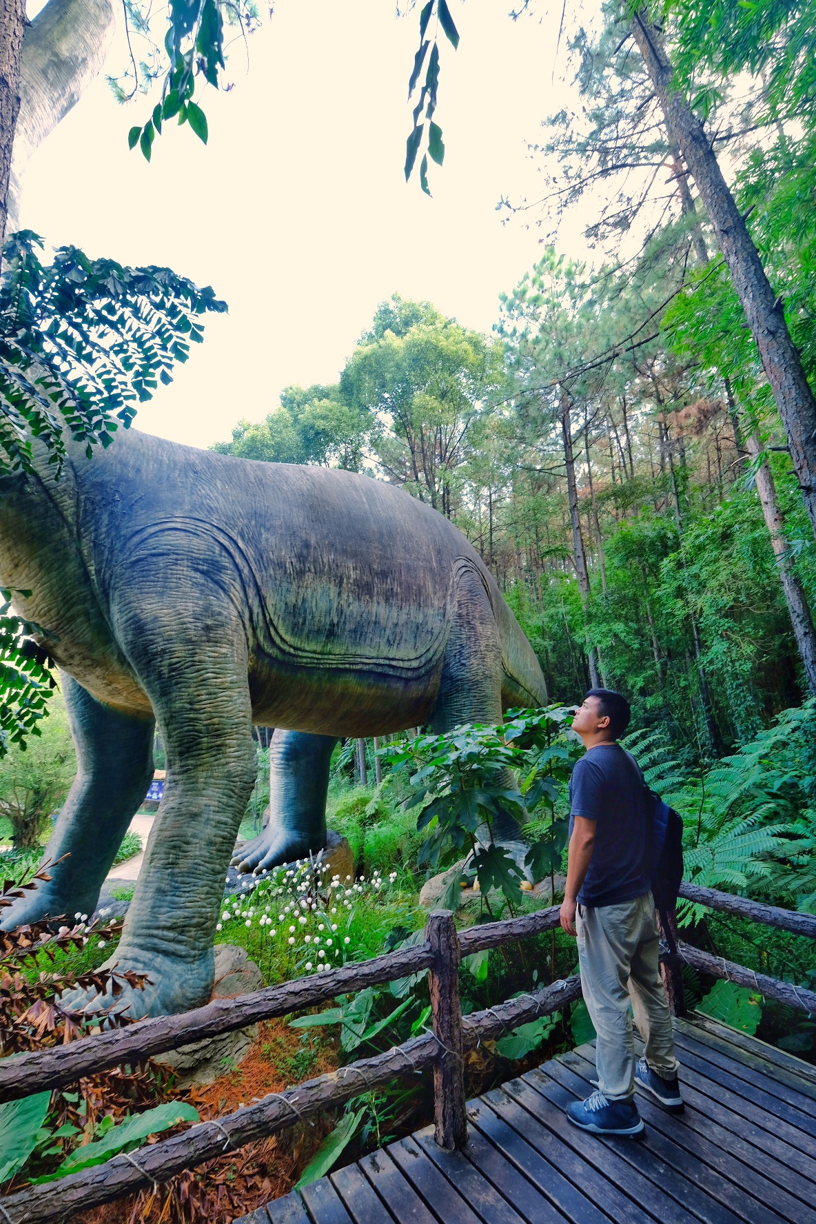 清远森波拉避暑胜地,森波拉奇妙世界温泉门票价格