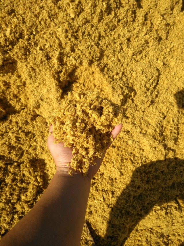 在缅甸建厂需要注意什么