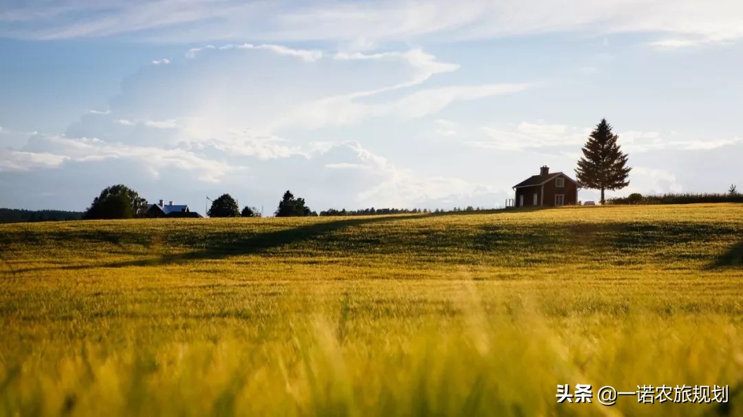 乡村特色产业发展未来展望