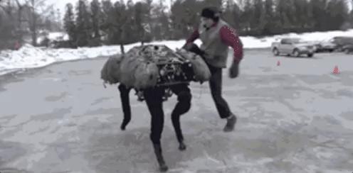 50涓囦竴鍙皬鍨嬫満鍣ㄧ嫍,16000鍏冩渶渚垮疁娉㈠+椤垮姩鍔涙満鍣ㄧ嫍