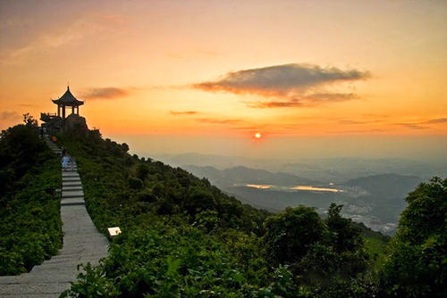 深圳罗湖布心鹏城花园,深圳鹏城花园图片