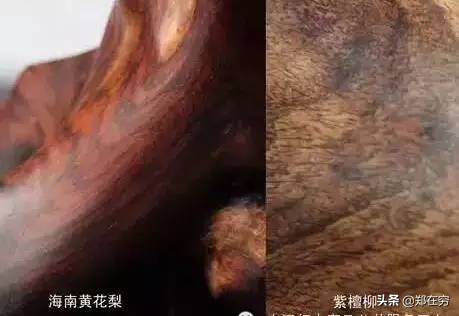 最好前五种的木材,九种常见木材