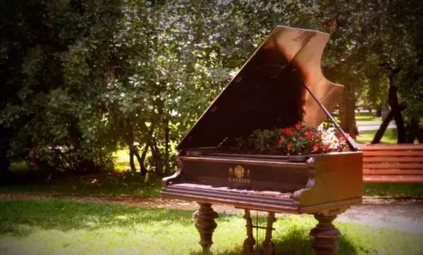 最有意境的照片关于钢琴,全球最美100张照片