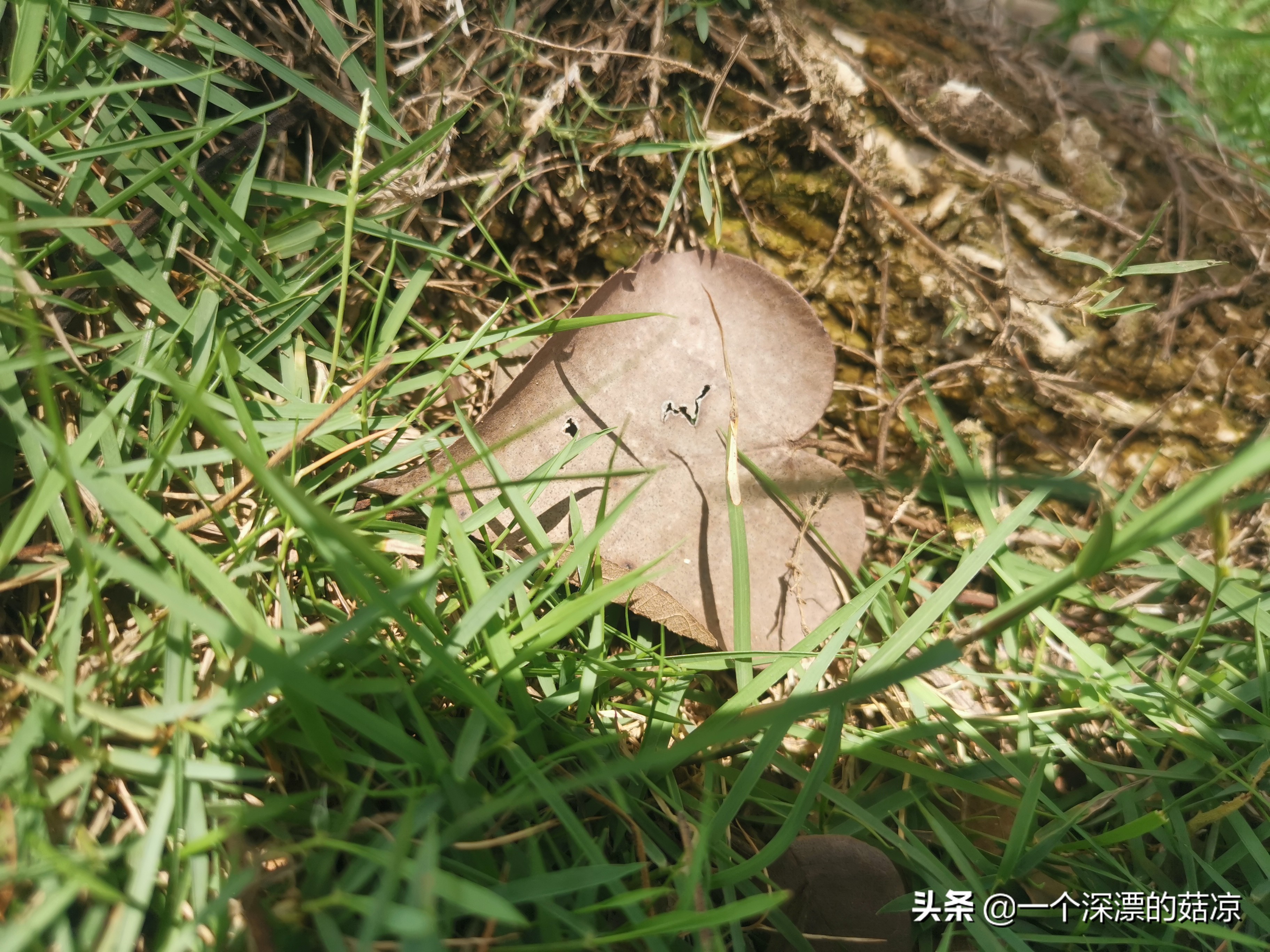 在夏天结束之前再去海边,在夏天结束前去海边