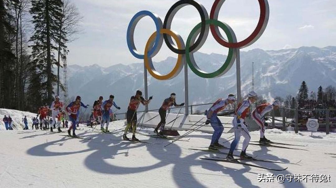 10个蔬菜冷知识,关于黄瓜的四个冷知识大全