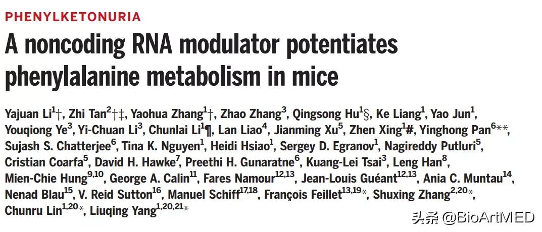 RNA疗法新策略：lncRNA功能元件制剂具备苯*酮丙**尿症治疗潜力