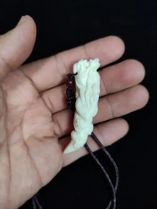 植物象牙图片大全大图,植物象牙红