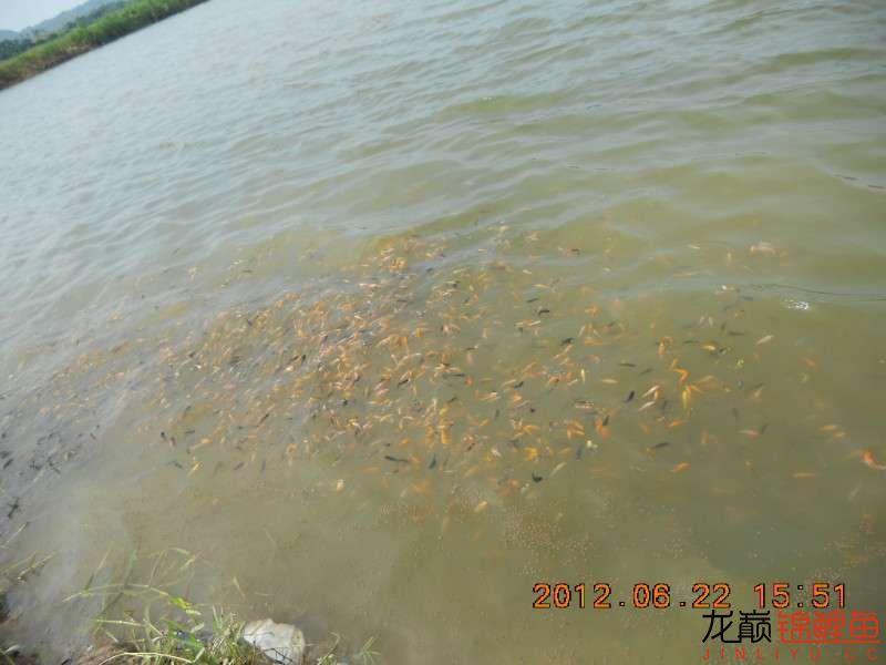 开渔场赚钱吗,开渔场需要多少资金