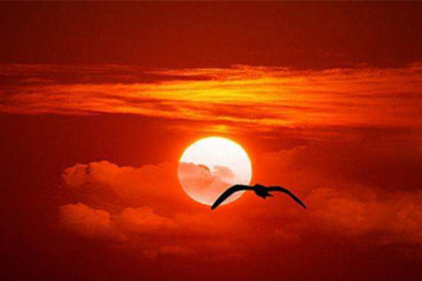 天净沙秋思马致远给人什么的感觉,马致远的天净沙秋思好在哪