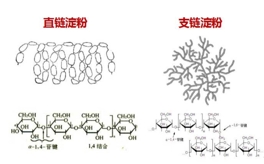 格力降血糖电饭煲,降血糖电饭煲是真的吗