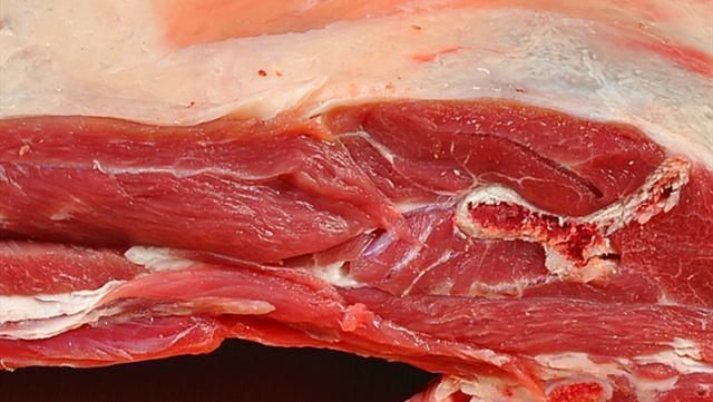 宁夏正宗的盐池滩羊,盐池滩羊都是内蒙的吗