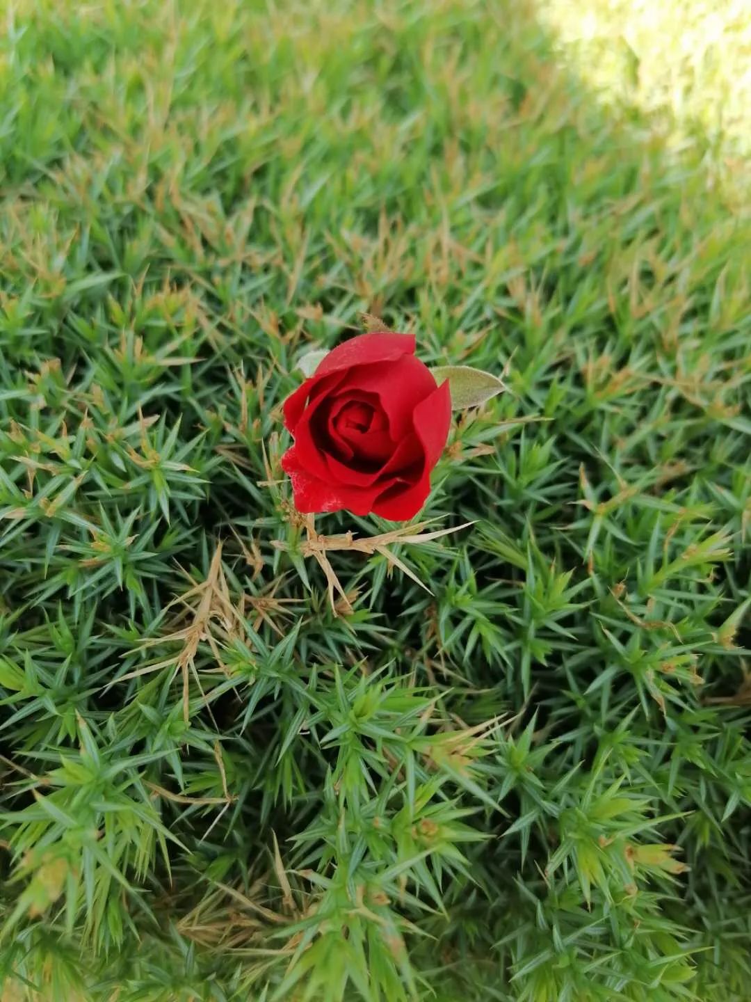 越来越老了,在变老的路上记录真实生活