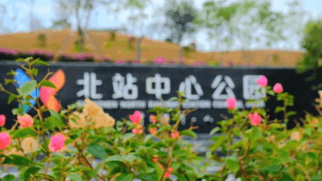 深圳龙华公园推荐,深圳龙华免费公园