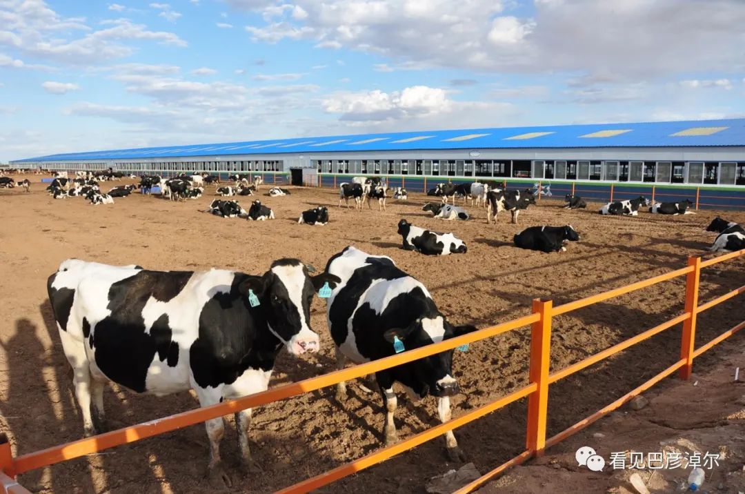 来认识一个不一样的我翻译,来认识不一样的滑雪