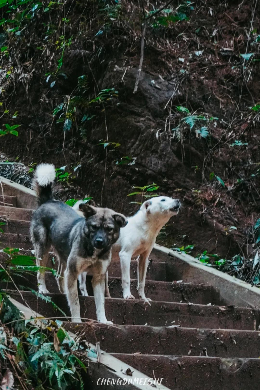 四川省青神县有哪些地方,四川青神有什么好玩的