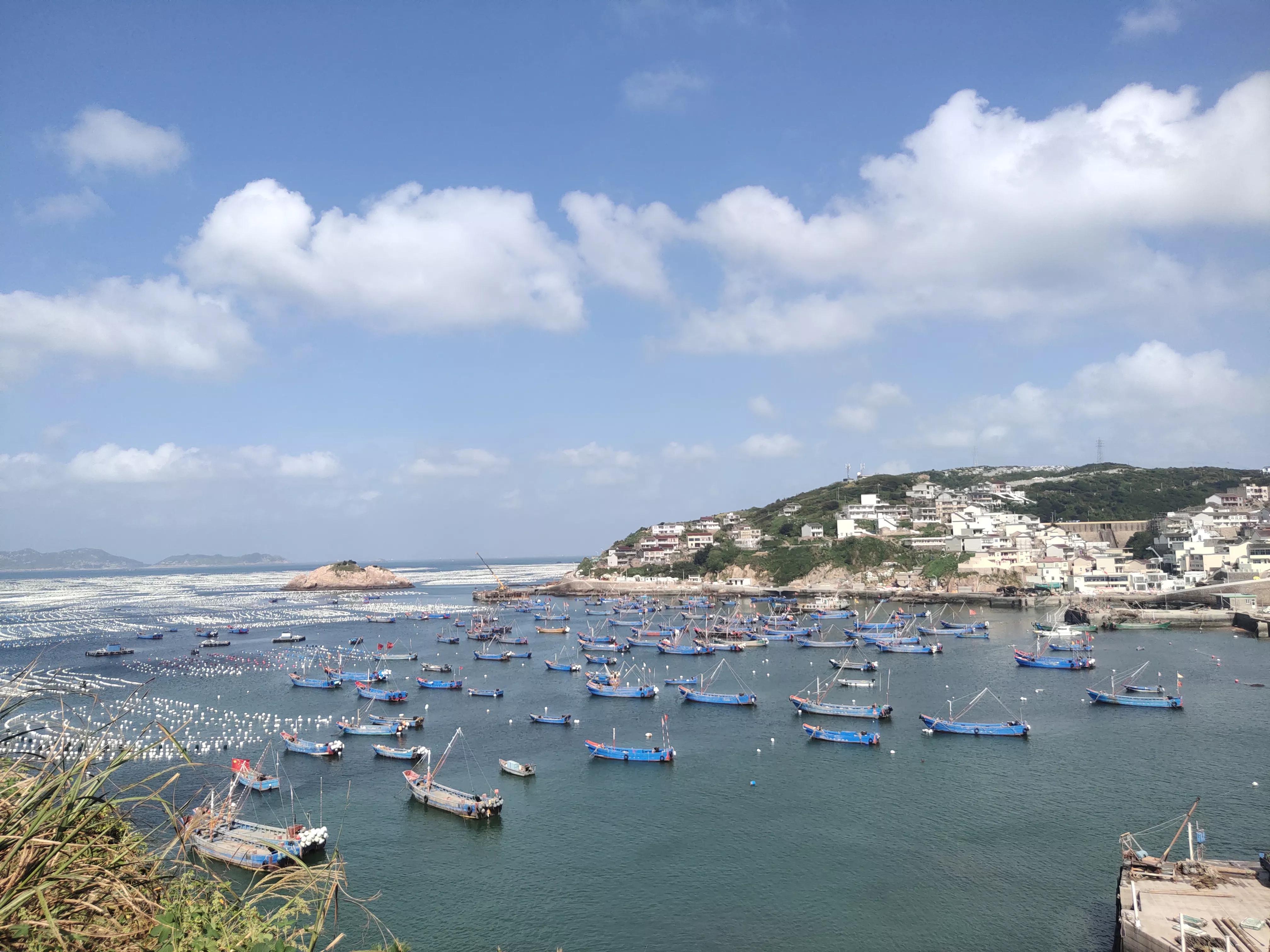 上海到枸杞岛自驾攻略 (上海到枸杞岛)