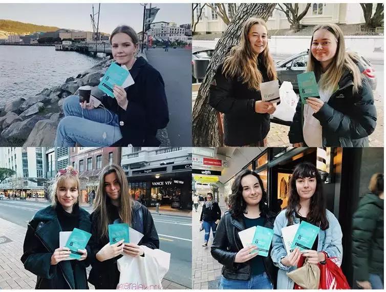 新西兰水光面膜,新西兰8分钟面膜三种颜色的功效