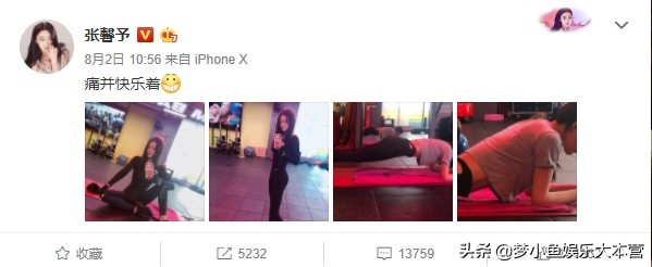 张馨予产后晒春游照片,张馨予产后首次现身