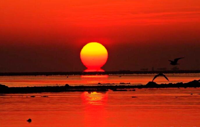 三面环海的海滨城市,三面环海