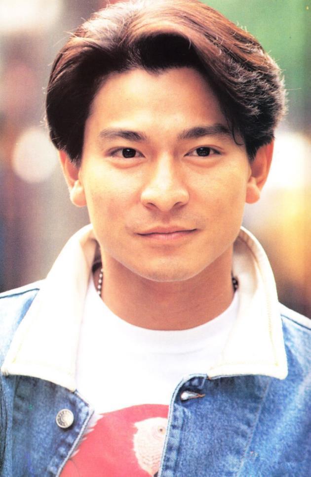 刘德华辛酸的经历电影,刘德华经历奋斗的辛酸