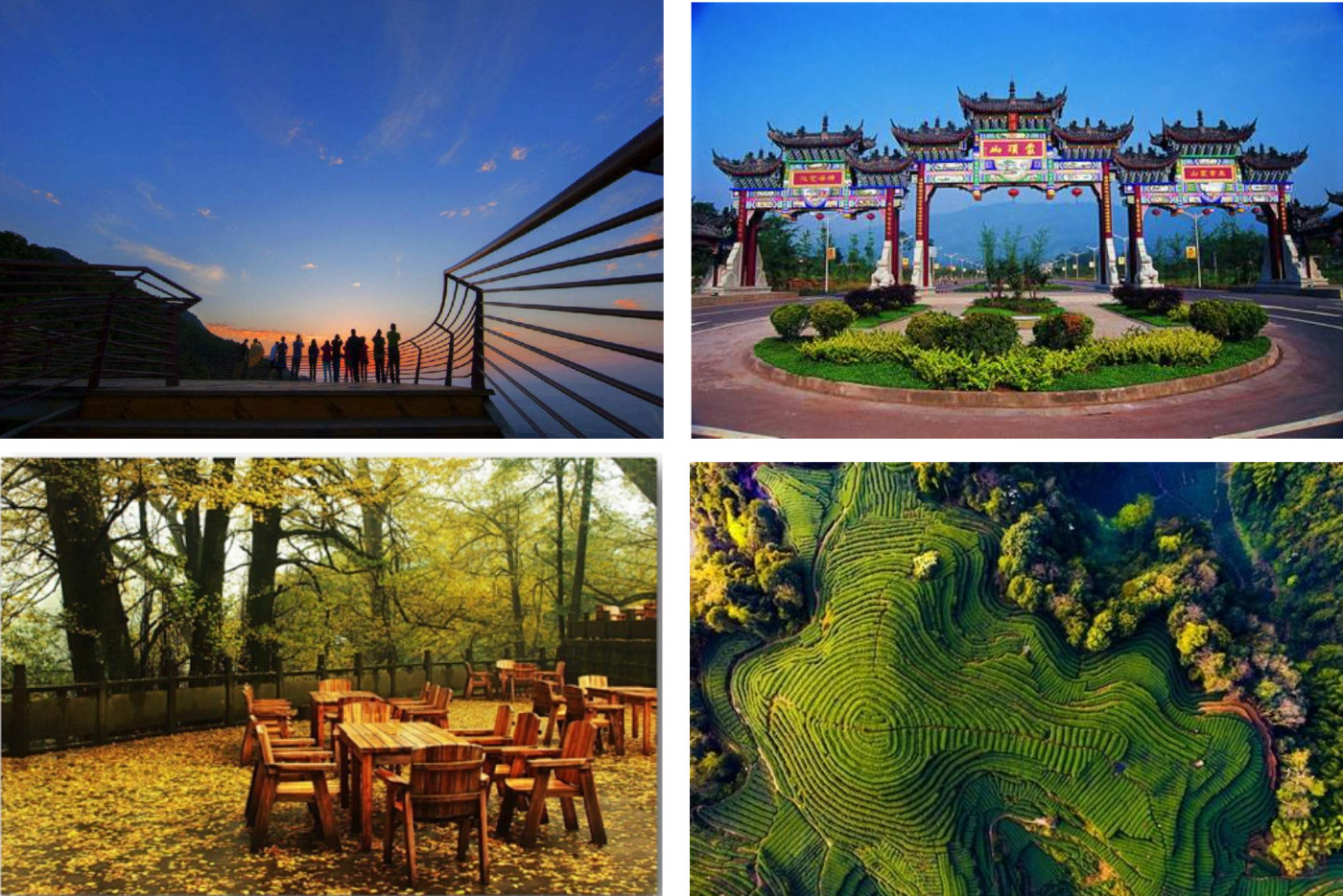 为什么四川的美女比较多,为什么四川美女多