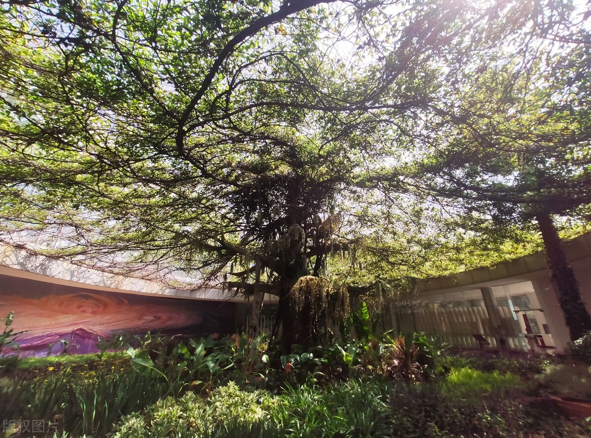 昆明世博园是免费参观的吗,第一次来昆明的感受