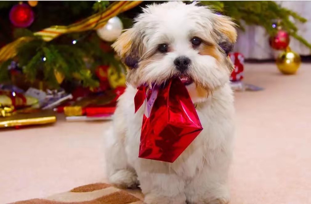 美文欣赏是什么,美文鉴赏推荐