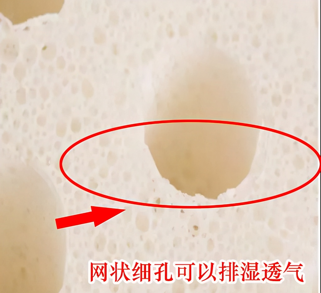 市面上100%乳胶枕都是假的,便宜的乳胶枕有什么猫腻