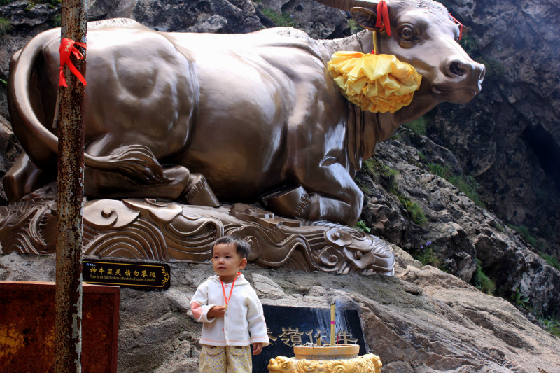 天下第一仙山洛阳老君山,天下奇山老君山视频