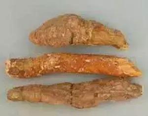 茯苓中药小故事,中药茯苓的故事