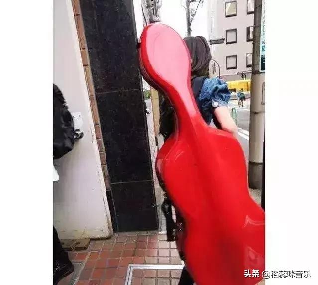 学弦乐的崩溃瞬间,学乐器的十大忠告