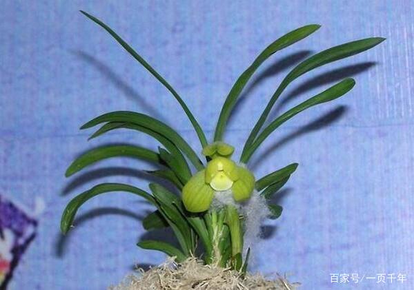 那些花上亿买豪宅的都是什么人,北京值得买的一套房