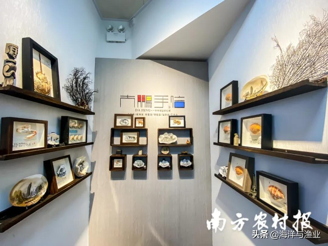生蚝除了吃，还能干什么？湛江90后养蚝人玩转蚝产业链
