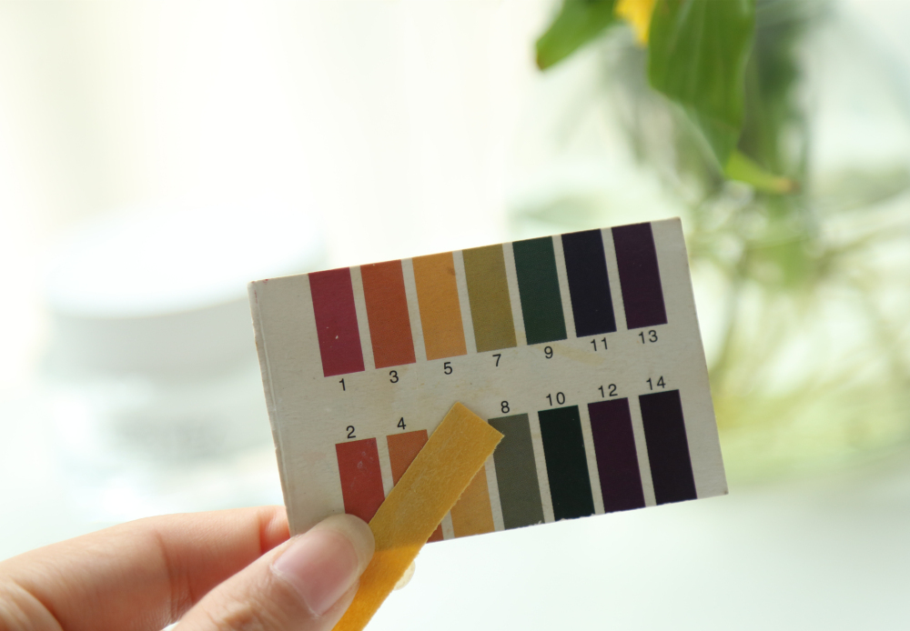 奢思雅酵母霜真实测评,奢思雅护肤品哪个最好用