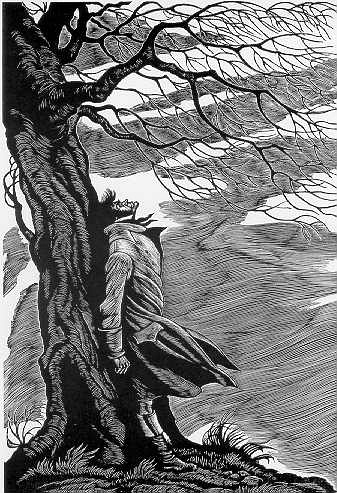 呼啸山庄艾米莉勃朗特诞辰200周年,艾米莉勃朗特在哪创作了呼啸山庄